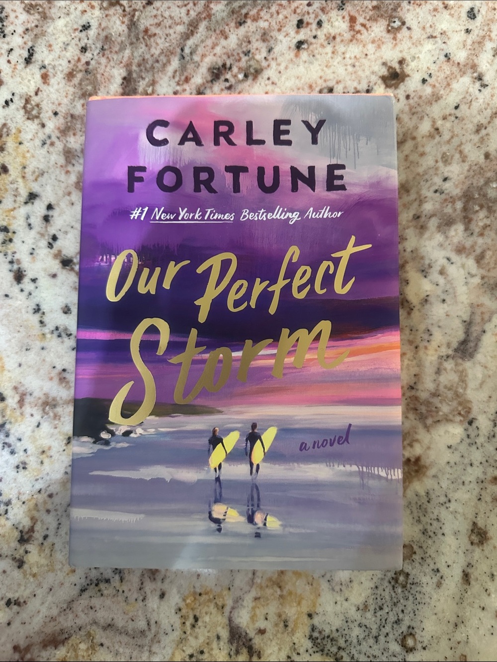 Our Perfect Storm by Carly Fortune